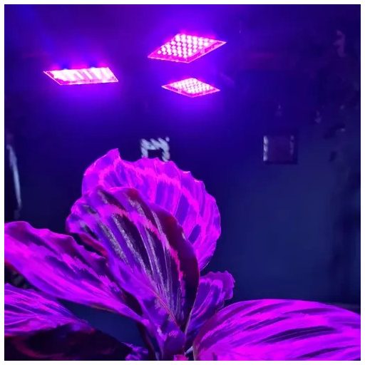 LED lámpa növények növekedéséhez