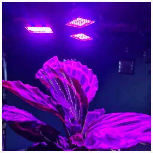 LED lámpa növények növekedéséhez