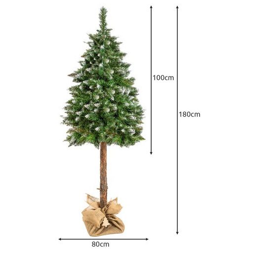 Karácsonyfa törzsön – gyémántfenyő 180 cm