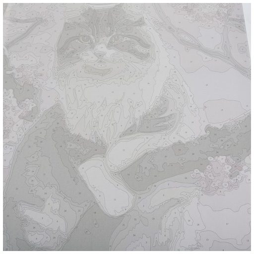 Számozott festőkészlet 40x50 cm – Maaleo cica 22783