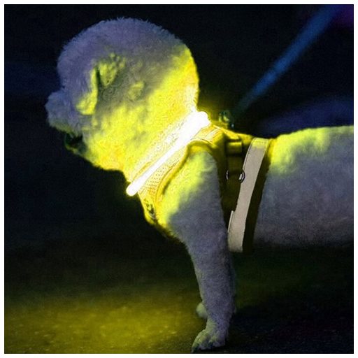 Állítható LED nyakörv Purlov 24200