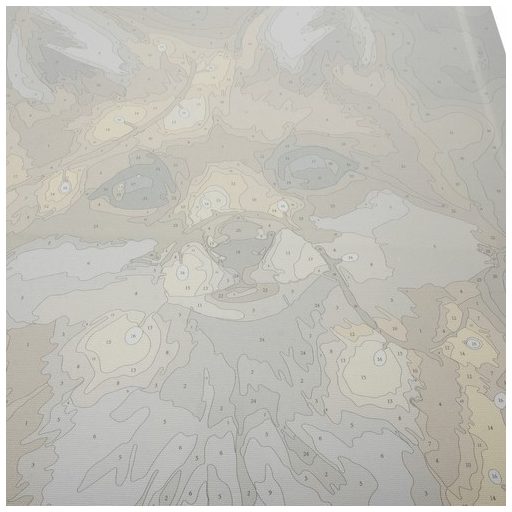 Számfestés 40x50cm - Róka 22782